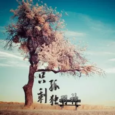 只剩孤獨 只剩孤獨