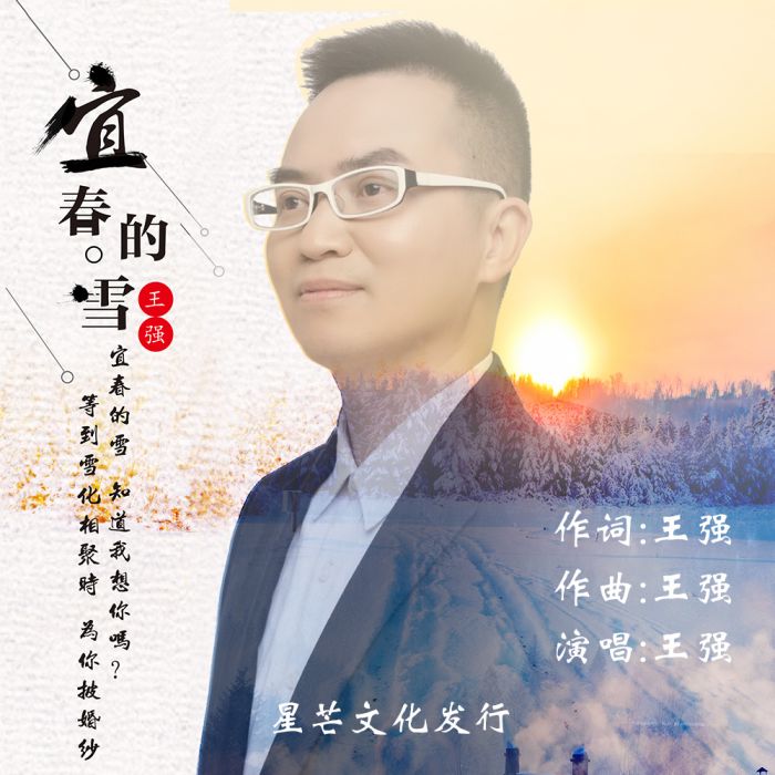 宜春的雪 宜春的雪