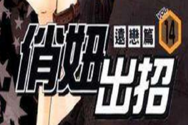 俏妞出招 14