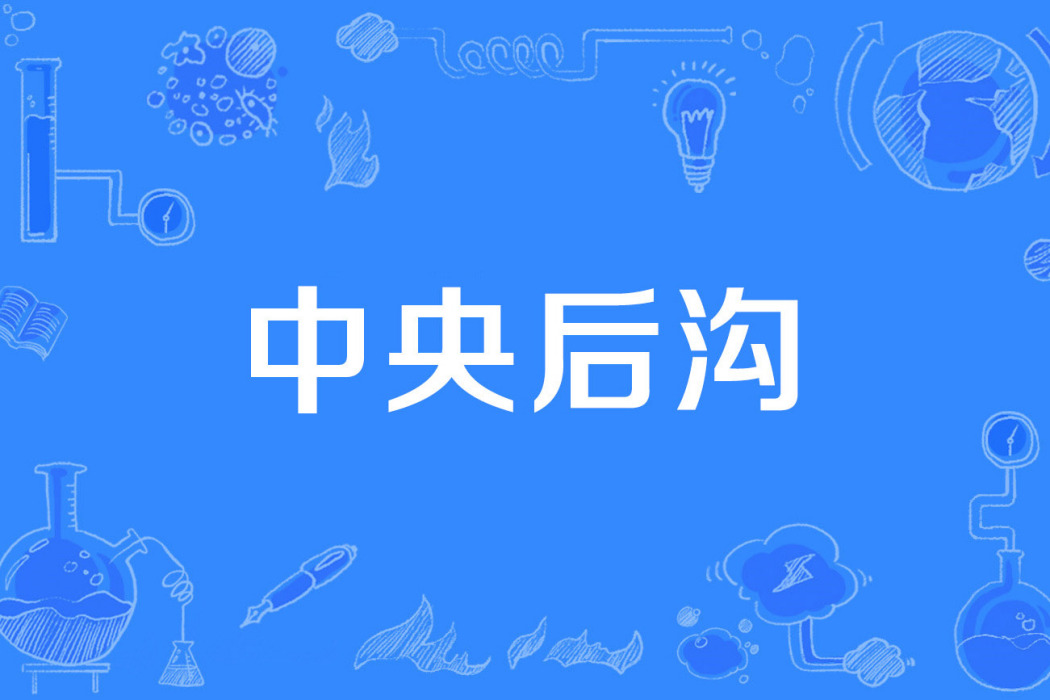 中央後溝 中央後溝