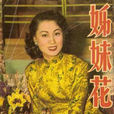 姊妹花(1952年秦劍導演電影) 姊妹花(1952年秦劍導演電影)