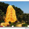 不走回頭路(典故) 不走回頭路(典故)