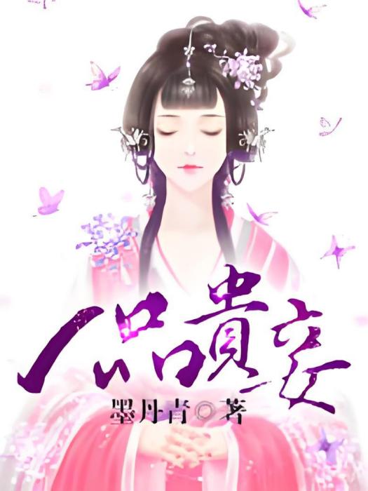 一品貴妾 一品貴妾