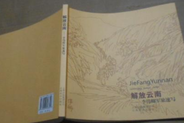 解放雲南(2008年雲南美術出版社出版的圖書)
