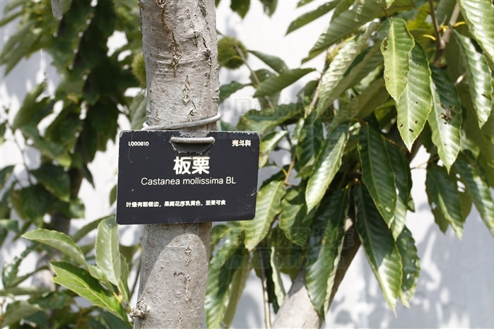 上豐 上豐