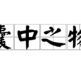囊中之物 囊中之物