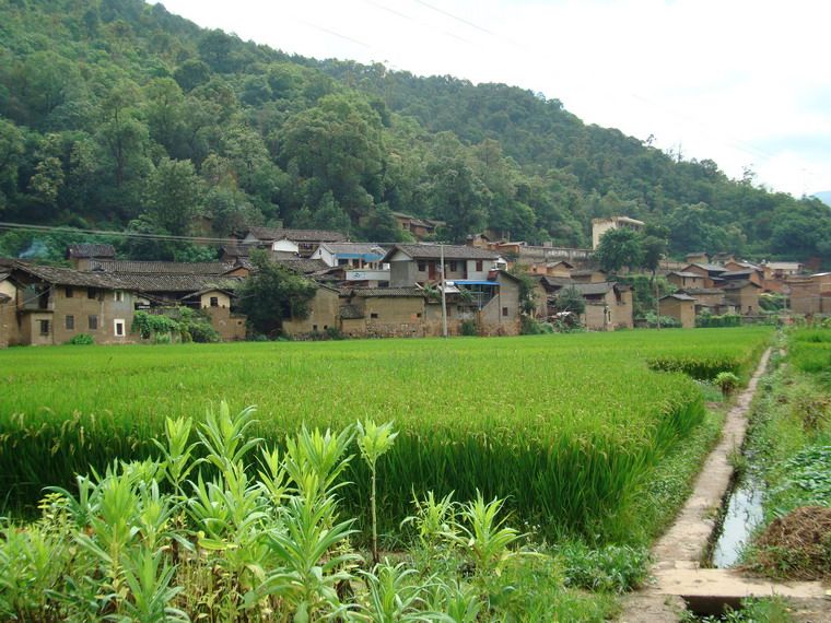 苗茂村 苗茂村