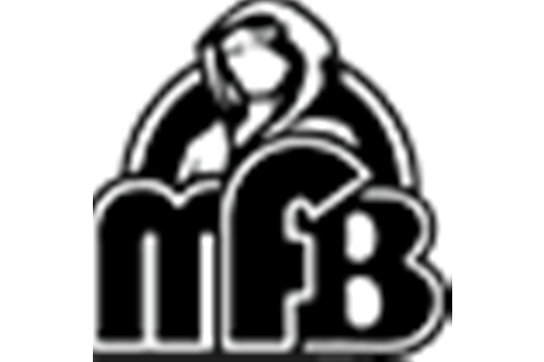 Mfb戰隊 Mfb戰隊