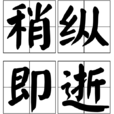 稍縱即逝(漢語成語) 稍縱即逝(漢語成語)