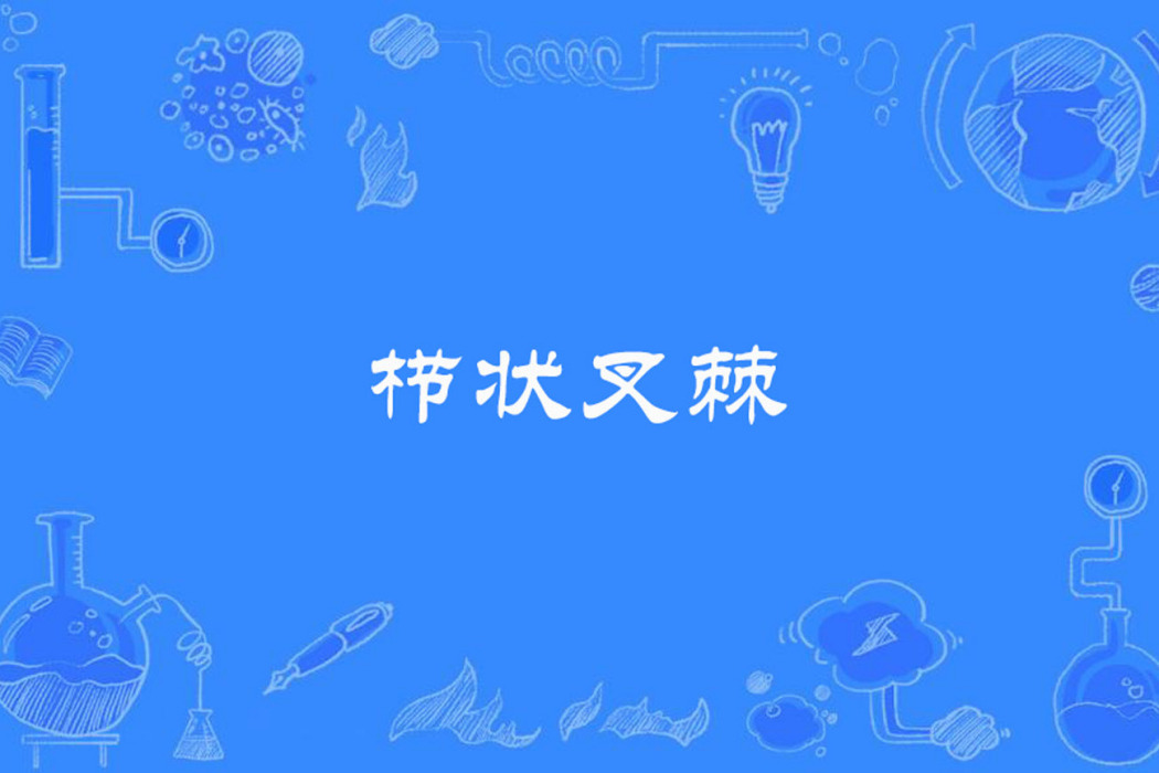 櫛狀叉棘 櫛狀叉棘