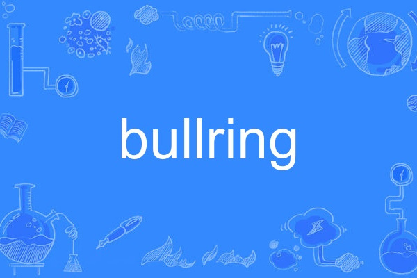 bullring bullring