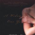 寡居的一年(美國作家約翰·歐文小說) 寡居的一年(美國作家約翰·歐文小說)