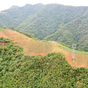 和坪村