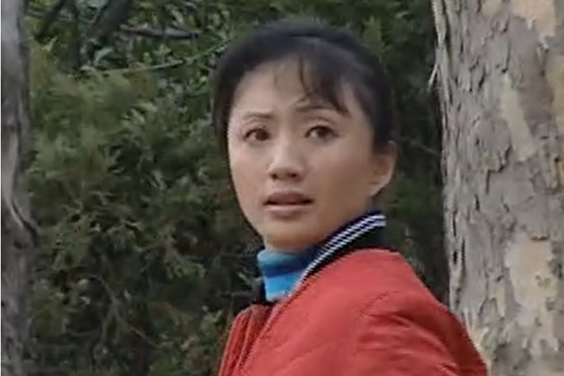 杜惠(愛情劇《情歸》中的角色) 杜惠(愛情劇《情歸》中的角色)