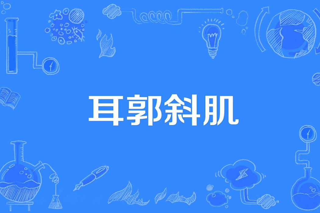 耳郭斜肌 耳郭斜肌