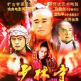 新少林寺(1999年袁和平、張鑫炎執導電視劇) 新少林寺(1999年袁和平、張鑫炎執導電視劇)