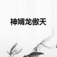 神婿龍傲天