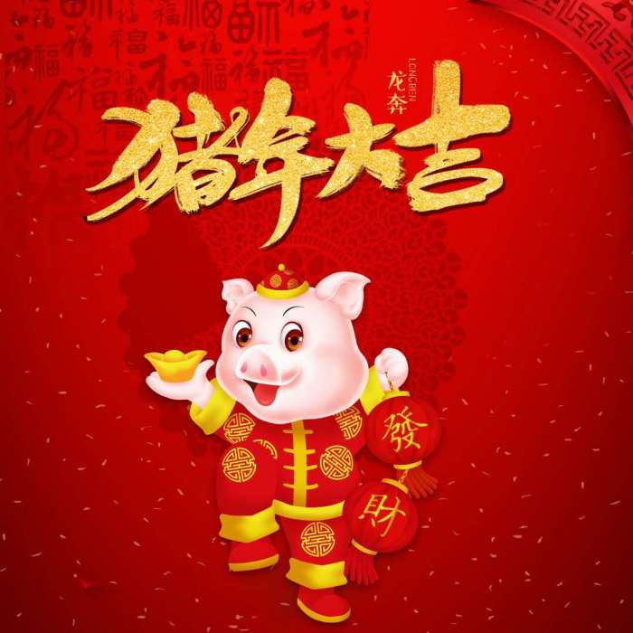 豬年大吉 豬年大吉