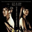 雙子星(新加坡2009年張龍敏執導電視劇) 雙子星(新加坡2009年張龍敏執導電視劇)