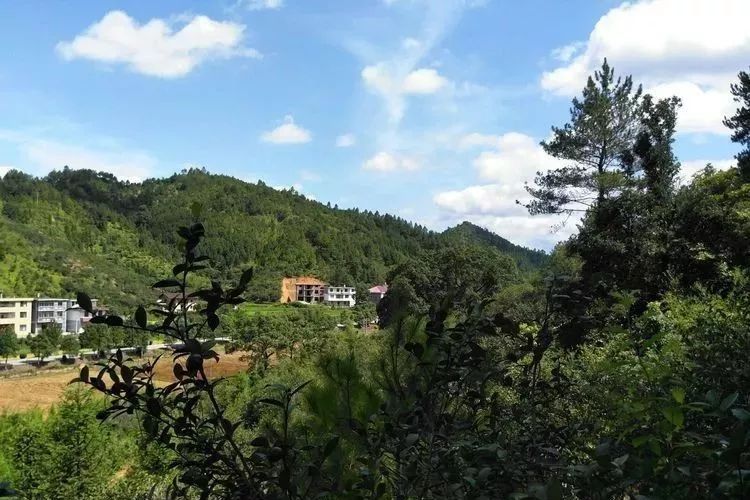 三望村 三望村
