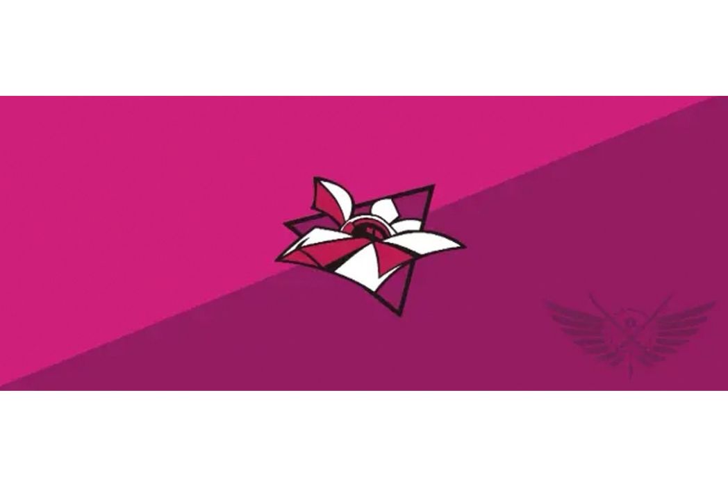 百花戰隊 百花戰隊