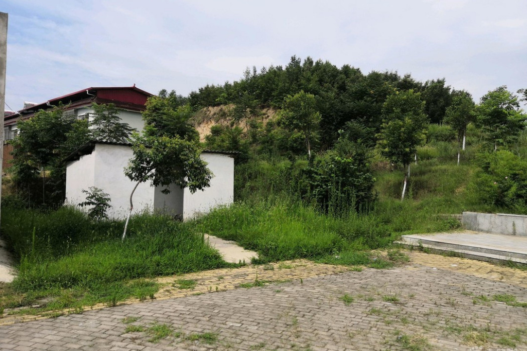 徐莊村(山東省菏澤市巨野縣營里鎮下轄村) 徐莊村(山東省菏澤市巨野縣營里鎮下轄村)