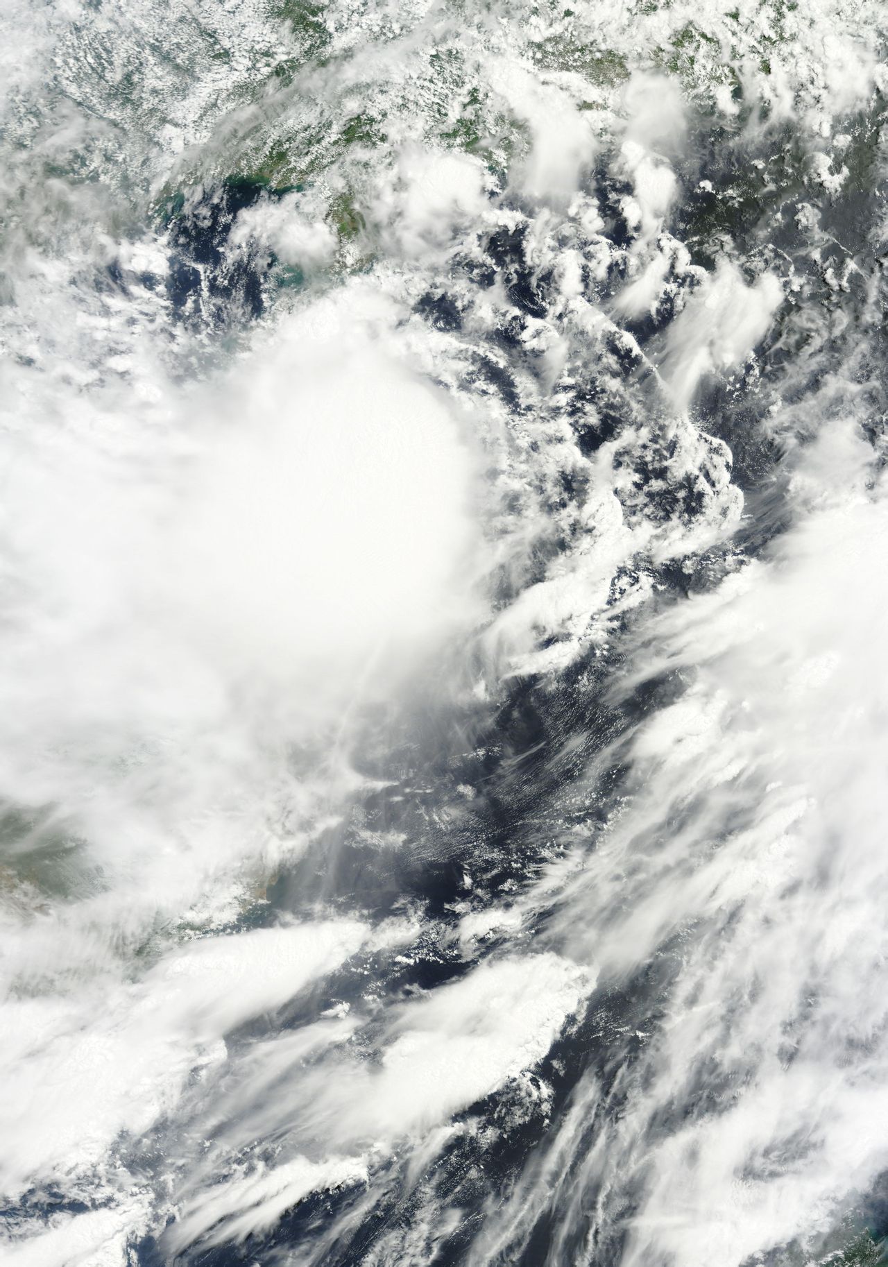 熱帶風暴鯨魚  衛星雲圖
