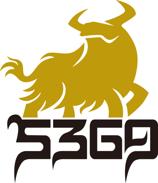 5369 5369
