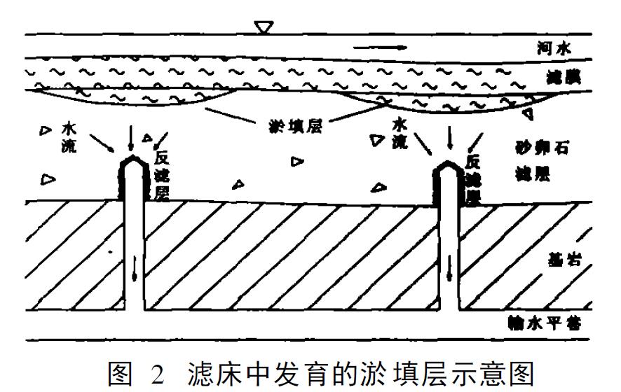圖2　濾床中發育的淤填層示意圖