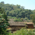 綠蔭塘村(雲南省箇舊市雞街鎮綠蔭塘村) 綠蔭塘村(雲南省箇舊市雞街鎮綠蔭塘村)