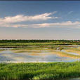 中國最美六大沼澤濕地