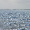 流冰(浮冰帶) 流冰(浮冰帶)