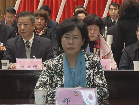 鄭凌(湖北省鹹寧市政協副主席) 鄭凌(湖北省鹹寧市政協副主席)