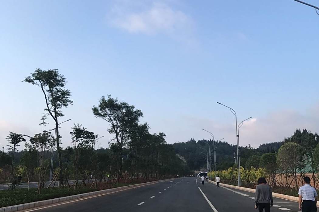 西河路(四川省達州市道路) 西河路(四川省達州市道路)