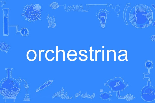 orchestrina orchestrina