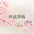 葉底青梅 葉底青梅