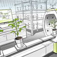 植物表型 植物表型