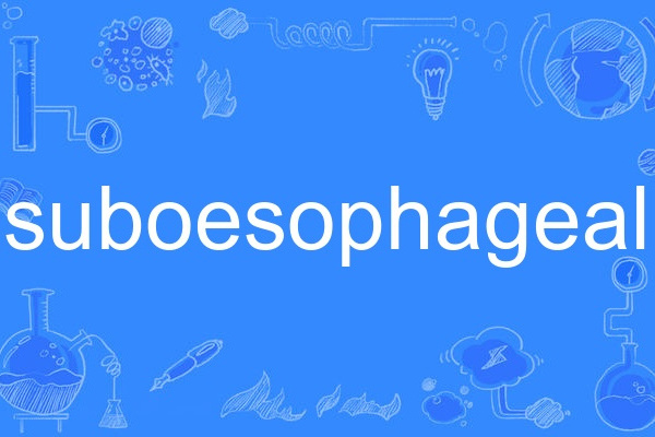 suboesophageal suboesophageal