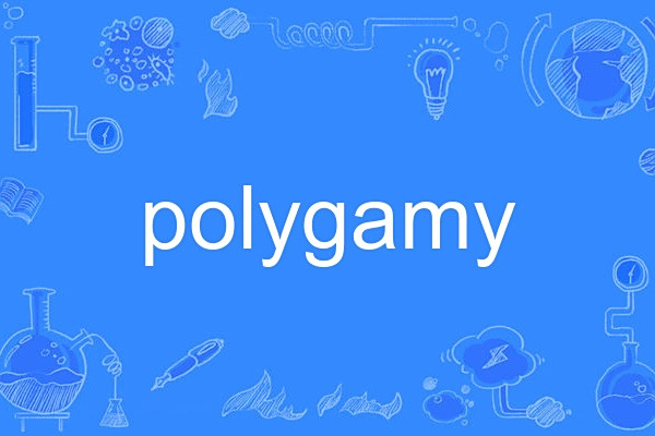 polygamy polygamy