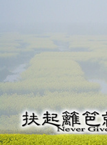戴江(新疆籍女演員)