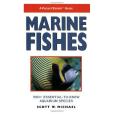 Marine Fishes Marine Fishes