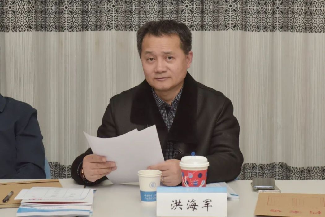 洪海軍(東南大學藝術指導中心主任) 洪海軍(東南大學藝術指導中心主任)