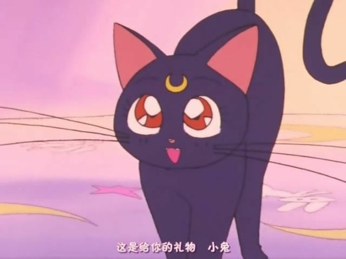 露娜(日本動漫《美少女戰士》中的貓)