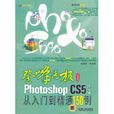 Photoshop CS5中文版從入門到精通150例