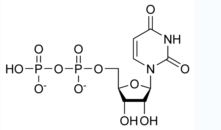 UDP chemical structure