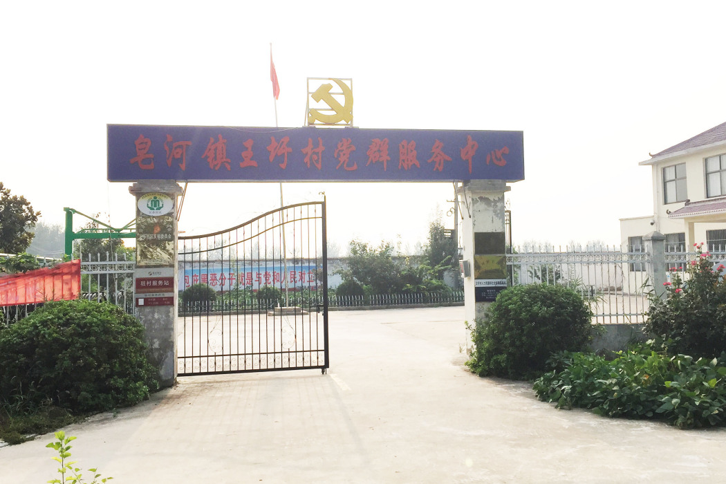 王圩村(江蘇省宿遷市皂河鎮下轄村) 王圩村(江蘇省宿遷市皂河鎮下轄村)