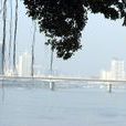 鰲峰洲大橋 鰲峰洲大橋