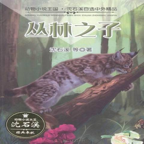 叢林之子(2016年湖南少年兒童出版社出版的圖書) 叢林之子(2016年湖南少年兒童出版社出版的圖書)