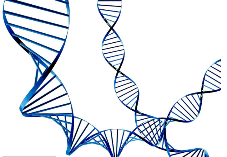 eDNA(環境DNA) eDNA(環境DNA)