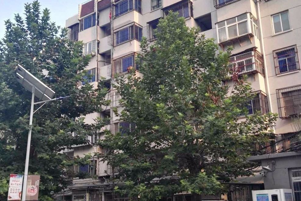 銅沛社區 銅沛社區